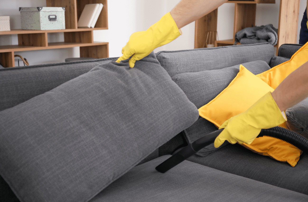 Expert Couch Cleaning in Ambarvale: Enhance the Look of Your Home
