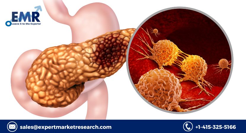 Exocrine Pancreatic Insufficiency Treatment Market