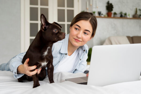 dog grooming course