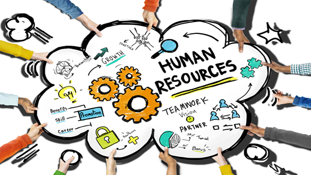 What is introduction to human resource management?