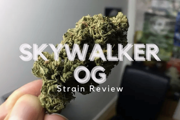 Skywalker OG strain