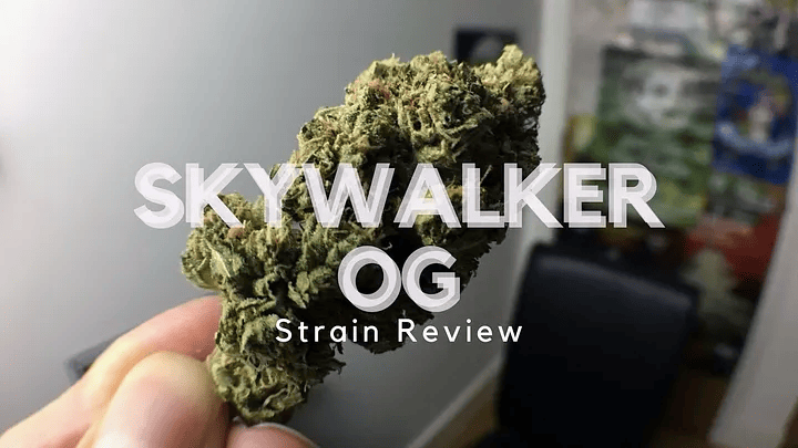 Skywalker OG strain