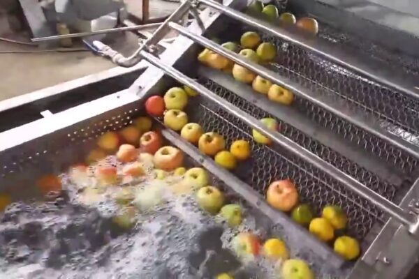 Fruit and Vegetable Washing Machine