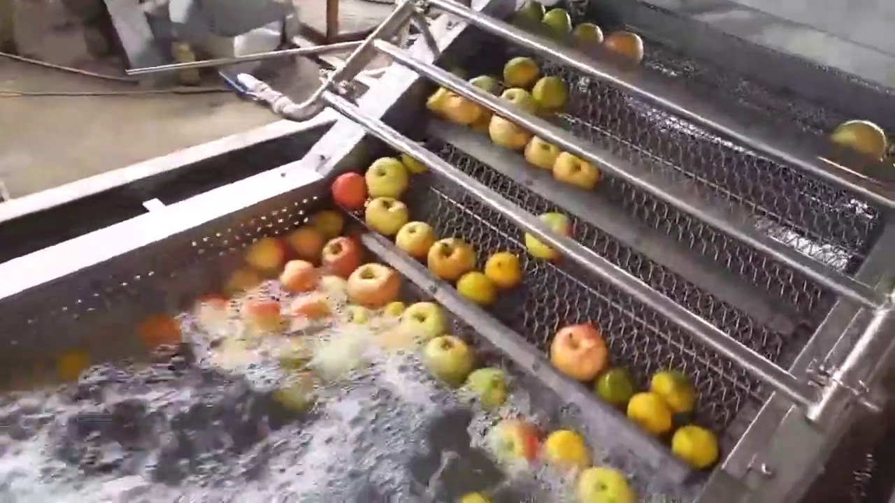 Fruit and Vegetable Washing Machine