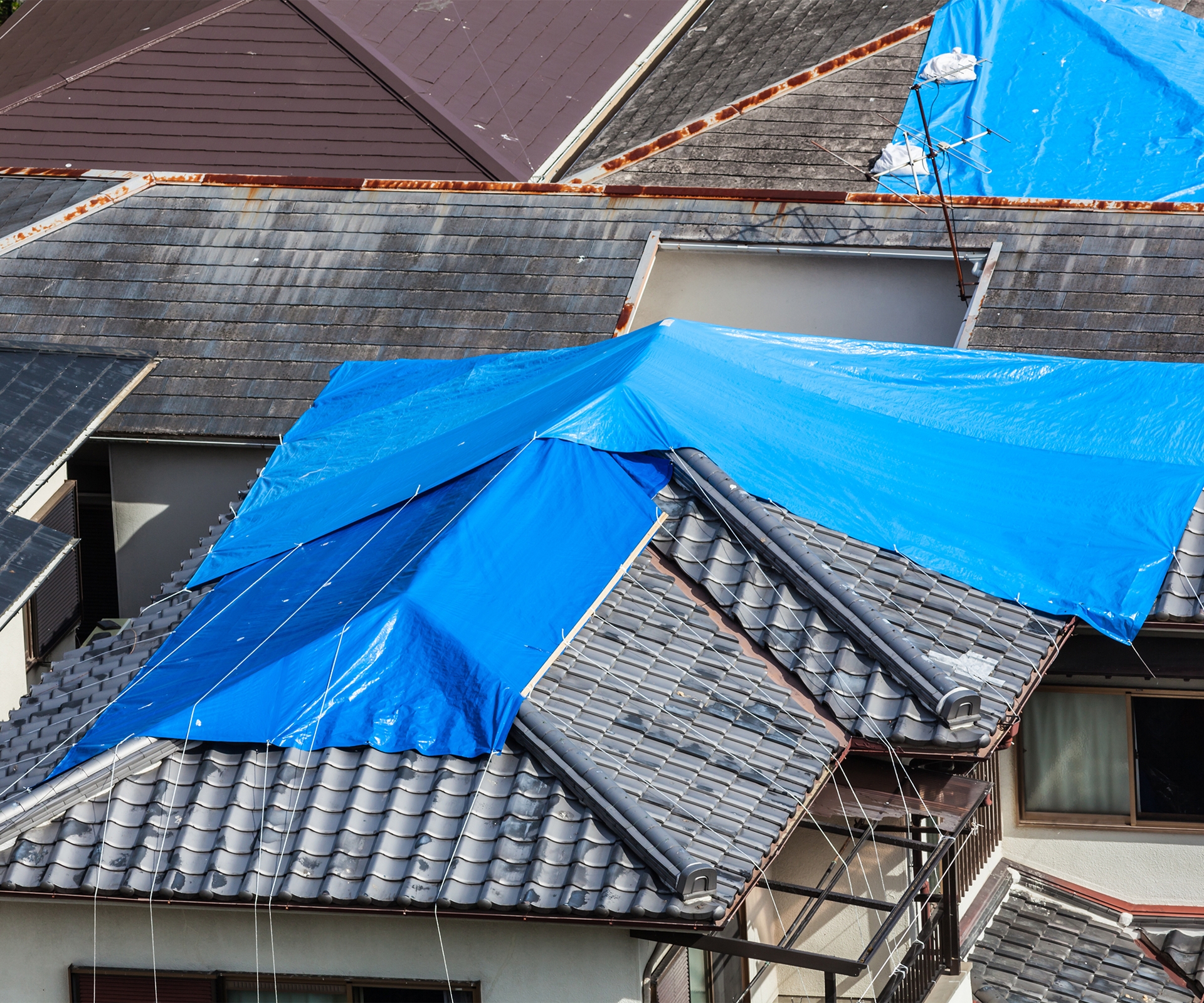 Roof tarps near me