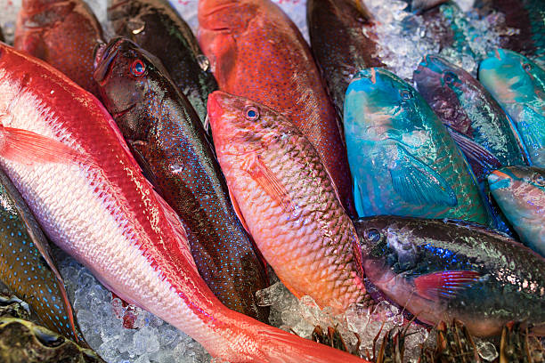 Sustainable Fish London