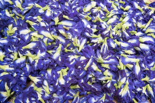 Dried Butterfly Pea Flower