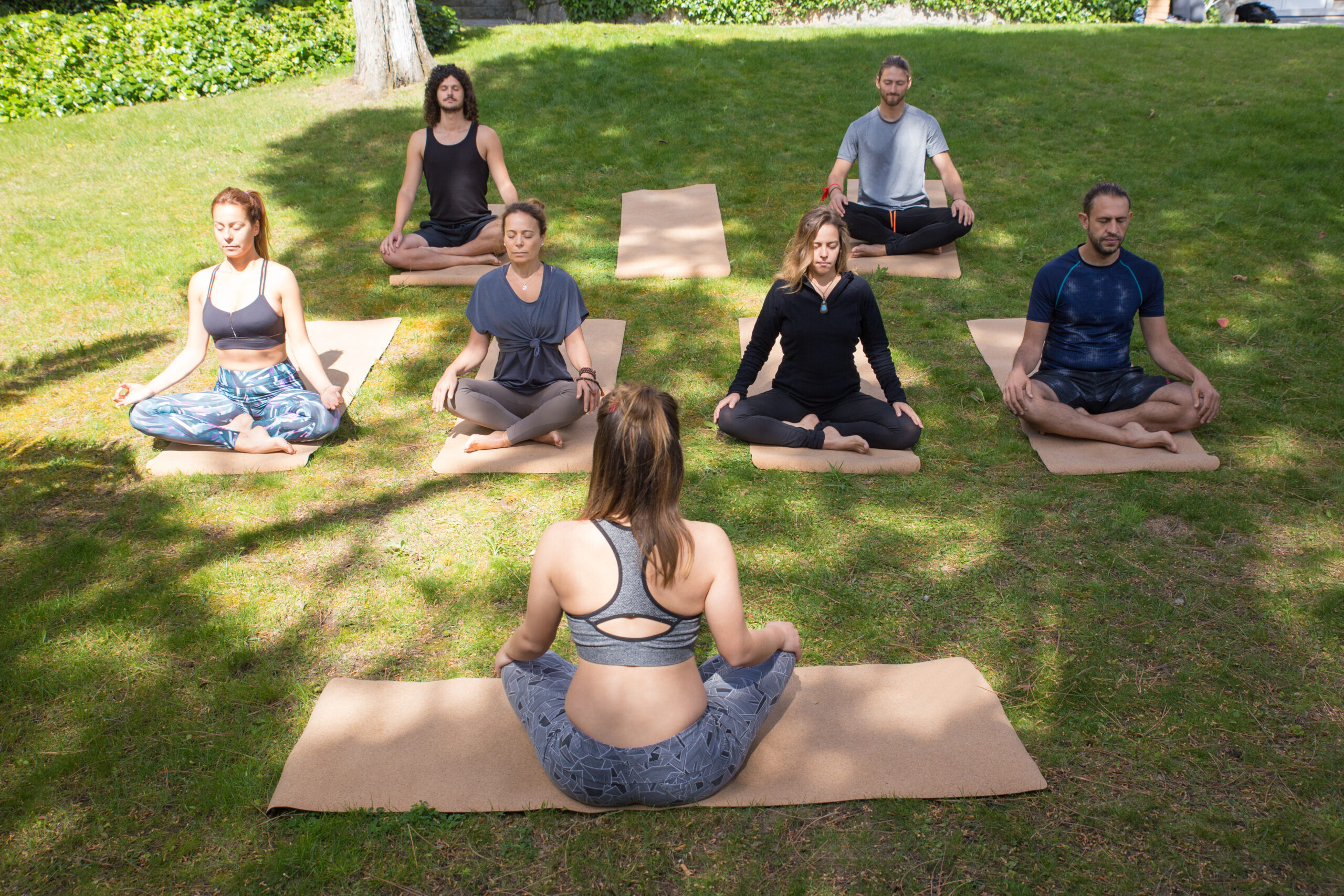 Harmony Unveiled: Your 300-Hour Yoga TTC Journey in Rishikesh