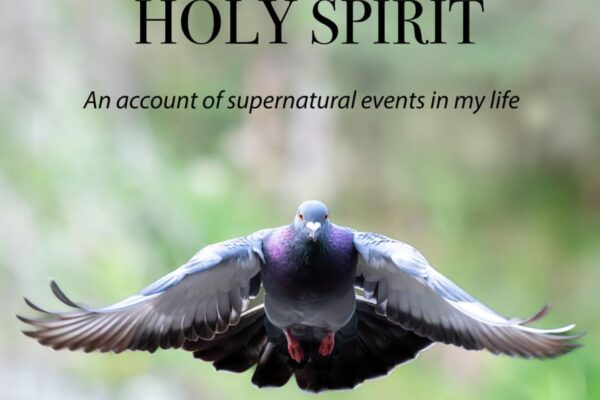holy spirit prayer book