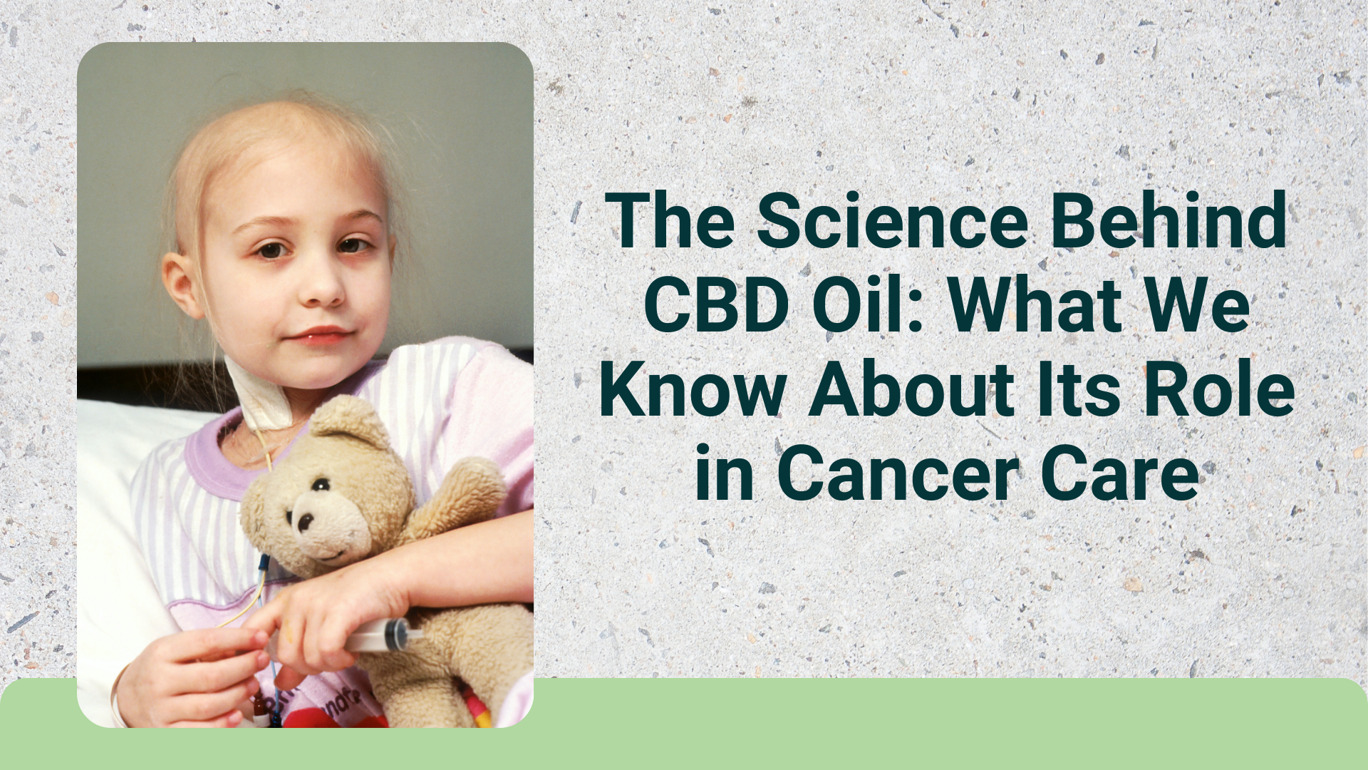 The Science Behind CBD Oil: What We Know About Its Role in Cancer Care