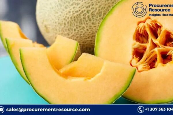 Melon Production Cost