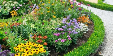 Eden Zen Gardening Work photo