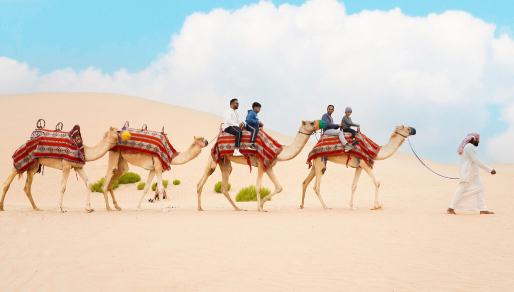 Camel Trekking safari in Abu Dhabi Desert