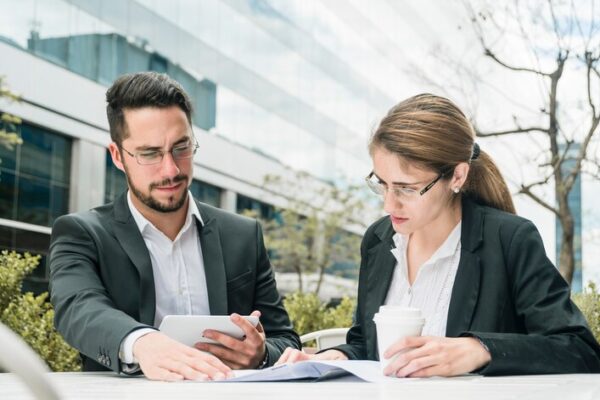 proposal consultant