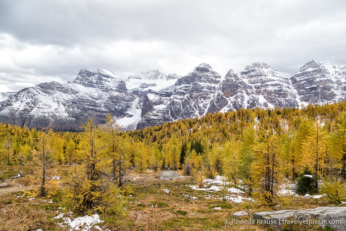 Larch Valley Hike