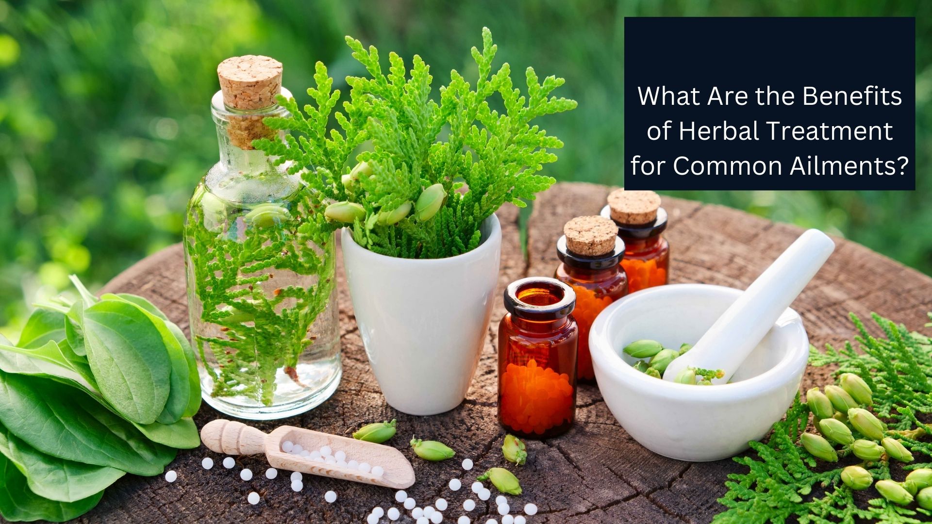 What Are the Benefits of Herbal Treatment for Common Ailments