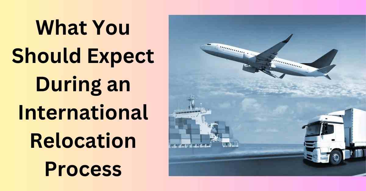 What You Should Expect During an International Relocation Process