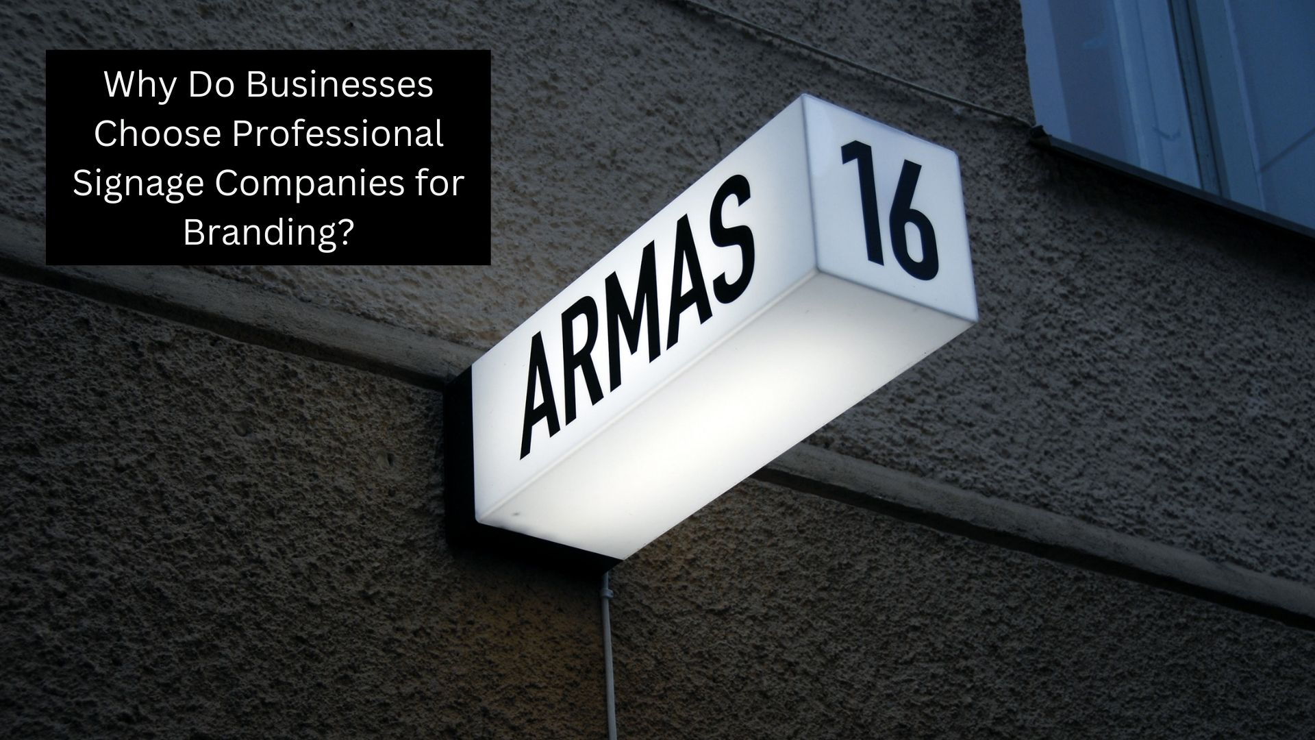 Why Do Businesses Choose Professional Signage Companies for Branding