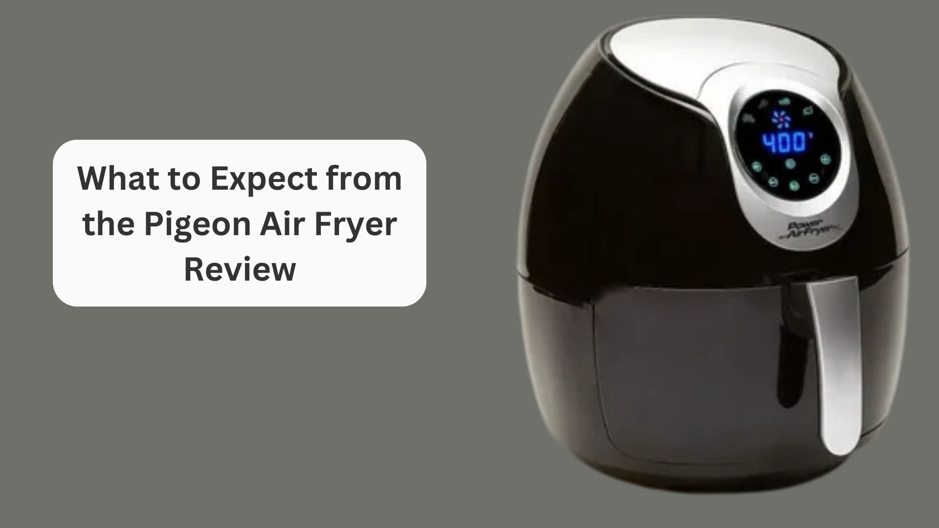 What to Expect from the Pigeon Air Fryer Review