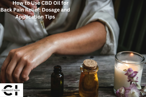 cbd oil for back pain